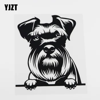 YJZT 15.6CMX17.2CM Waterproof Schnauzer Dog Peeking Vinyl Car Sticker Black/Silver 8A-0058 
YJZT 15.6CMX17.2CM Waterproof Schnauzer Dog Peeking Vinyl Car Sticker Black/Silver 8A-0058