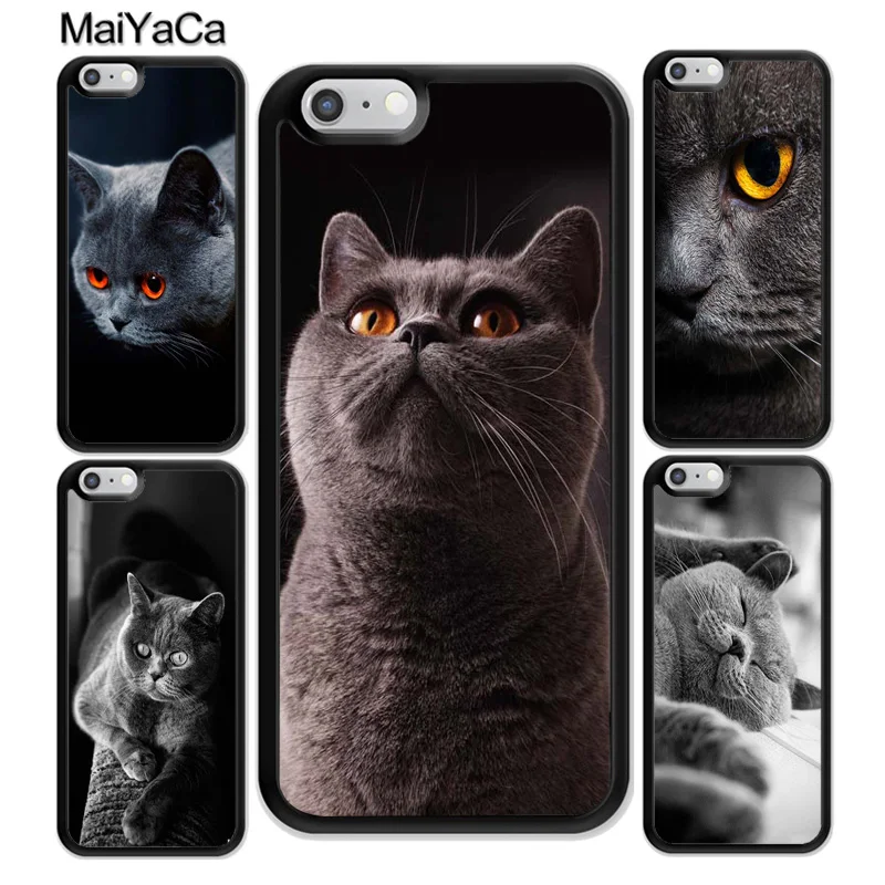 Красивые серые британские короткошерстные Чехлы MaiYaCa для iphone 12 mini 11 Pro Max X XR XS MAX SE