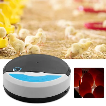 9 Eggs Semi Automatic Small Incubator Brooder Farm Hatchery Machine Bird Pigeon Chicken Duck Quail Egg Hatcher
9 Eggs Semi Automatic Small Incubator Brooder Farm Hatchery Machine Bird Pigeon Chicken Duck Quail Egg Hatcher