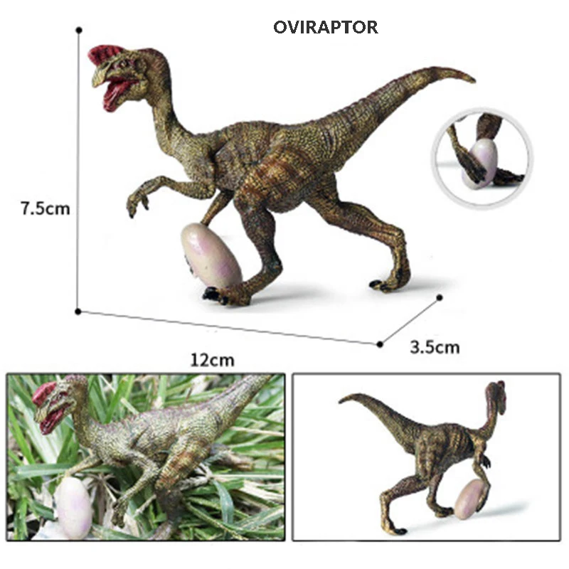 romántico Oír de dictador Solo gran Jurásico venta dinosaurios Oviraptor Velociraptor Indomirus T-Rex  figuras del mundo dinosaurio de juguete animales modelo | Linio México -  GE598TB0IE2ZTLMX