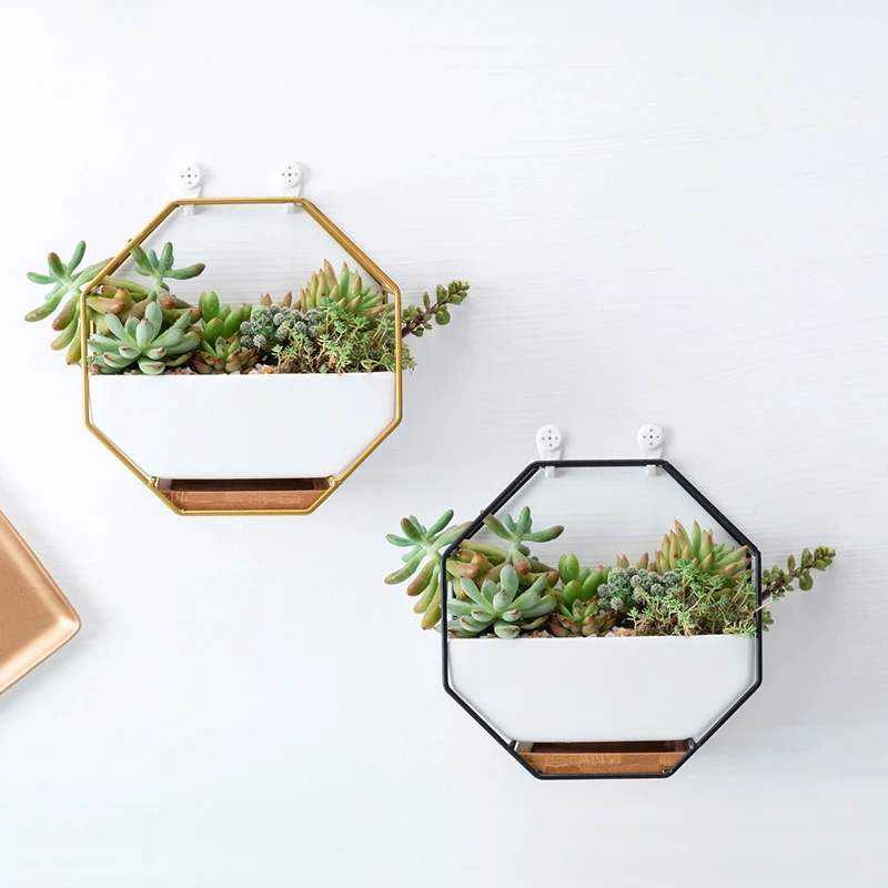 Nordic Hanging Flower Pots Stand Ceramic Flowerpots Geometric Succulent Cactus Metal Planter Holder Desktop Cachepot Orchid
Nordic Hanging Flower Pots Stand Ceramic Flowerpots Geometric Succulent Cactus Metal Planter Holder Desktop Cachepot Orchid