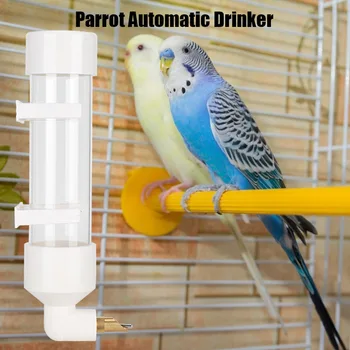 Bird Automatic Drinker With 2 Buckles Birds Drinking Tool For Different Kinds Of Birds Such As Parrots African Gray
Bird Automatic Drinker With 2 Buckles Birds Drinking Tool For Different Kinds Of Birds Such As Parrots African Gray