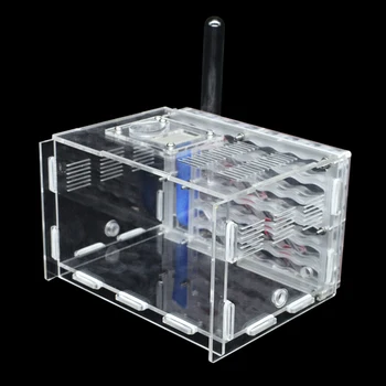 New DIY Antgranery Moisture Feeding Area Acrylic Ant Farm Ants House Birthday Present Gift
New DIY Antgranery Moisture Feeding Area Acrylic Ant Farm Ants House Birthday Present Gift