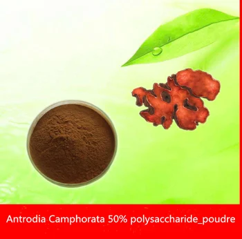 Powerful Anti-cancer, Antrodia Cinnamomea Extract 50% Powder with Polysaccharide,Protect liver Detoxification,NiuZhangZhi
Powerful Anti-cancer, Antrodia Cinnamomea Extract 50% Powder with Polysaccharide,Protect liver Detoxification,NiuZhangZhi