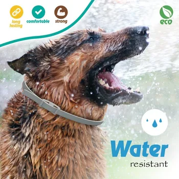 Pets Dog Cat Anti-parasites Adjustable Collars Mite Protection Collar Fleas Ticks Forceps mosquito Control Reject Summer
Pets Dog Cat Anti-parasites Adjustable Collars Mite Protection Collar Fleas Ticks Forceps mosquito Control Reject Summer