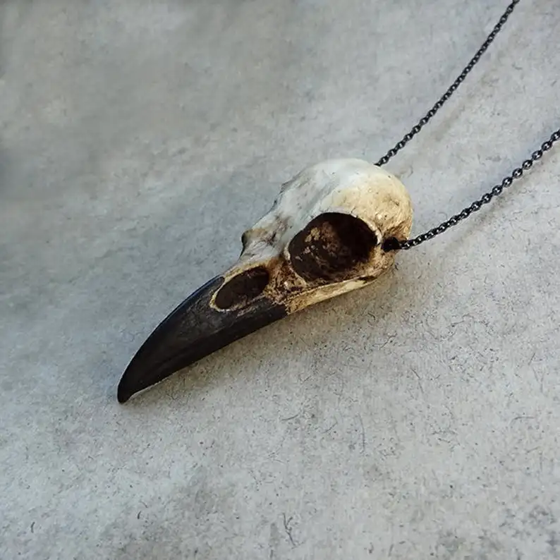

3D Raven Skull Necklace Resin Replica Raven Magpie Crow Poe Gothic Gift,Halloween Raven Skull Necklace,Goth Bird Skull Jewelry