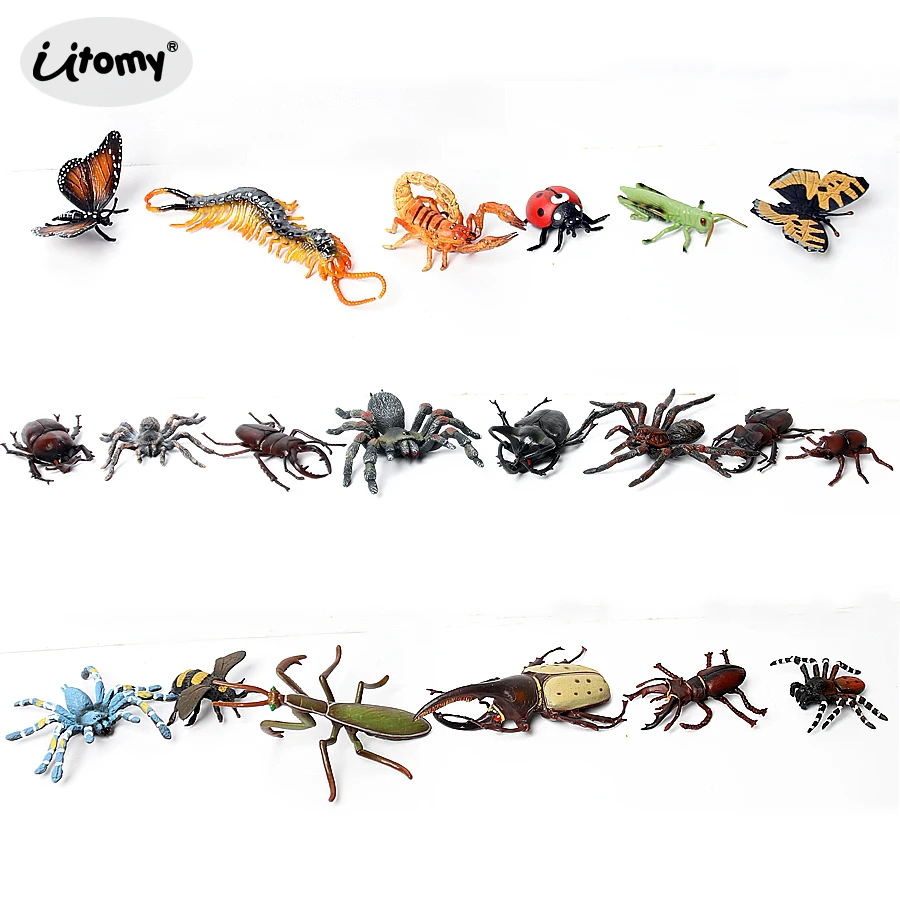 Simulation Spider Tarantula Stag beetle hercules beetle Butterfly insect animal model Lifelike action figure home decor Gift
Simulation Spider Tarantula Stag beetle hercules beetle Butterfly insect animal model Lifelike action figure home decor Gift
