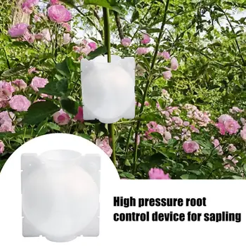 Behogar 10PCS Plant Rooting Device High Pressure Plant Root Growing Grafting Breeding Case Box Ball for Roses Fruit Trees White
Behogar 10PCS Plant Rooting Device High Pressure Plant Root Growing Grafting Breeding Case Box Ball for Roses Fruit Trees White