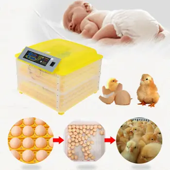 Advanced Farm Egg Incubator Automatic 112 eggs Hatchery Machine Temperature Humidity Control Chicken Duck Quail Bird Brooder
Advanced Farm Egg Incubator Automatic 112 eggs Hatchery Machine Temperature Humidity Control Chicken Duck Quail Bird Brooder