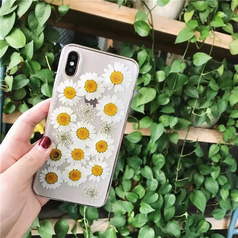 cover For IPhone X XR XS 11 Pro Max 6 6S 7 8 Plus Phone Case Silicone Soft Tpucover Coque Funda Small Fresh Daisy Glue Flower
cover For IPhone X XR XS 11 Pro Max 6 6S 7 8 Plus Phone Case Silicone Soft Tpucover Coque Funda Small Fresh Daisy Glue Flower