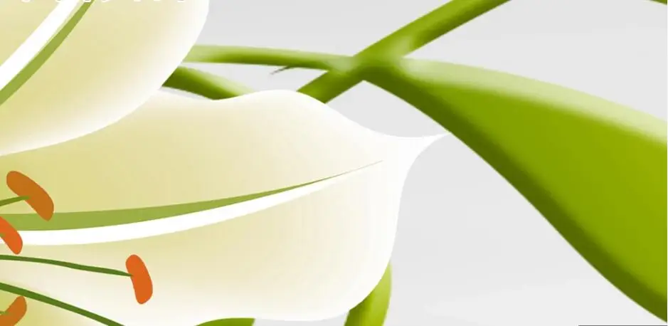 QQ截图20190717164350