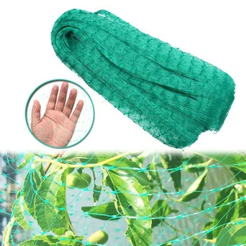 Economical Anti Bird Bird-Preventing Net Netting Mesh For Fruit Crop Plant Tree Garden
Economical Anti Bird Bird-Preventing Net Netting Mesh For Fruit Crop Plant Tree Garden