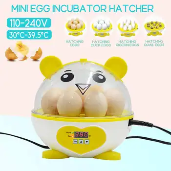 9 Eggs Incubator Eggs Digital Automatic Hatchery 220V/110V LED Science Kids Machine for Hatching Turkey Goose Quail Chicken Eggs
9 Eggs Incubator Eggs Digital Automatic Hatchery 220V/110V LED Science Kids Machine for Hatching Turkey Goose Quail Chicken Eggs