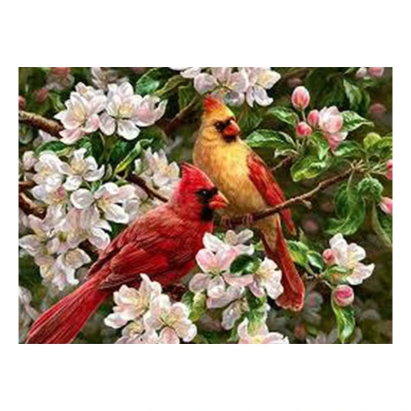5D Diamond Painting Kit for Adult Full Drill Paint with Diamonds Pictures Arts Craft for Home Decor Cardinal- Grosbeaks
5D Diamond Painting Kit for Adult Full Drill Paint with Diamonds Pictures Arts Craft for Home Decor Cardinal- Grosbeaks
