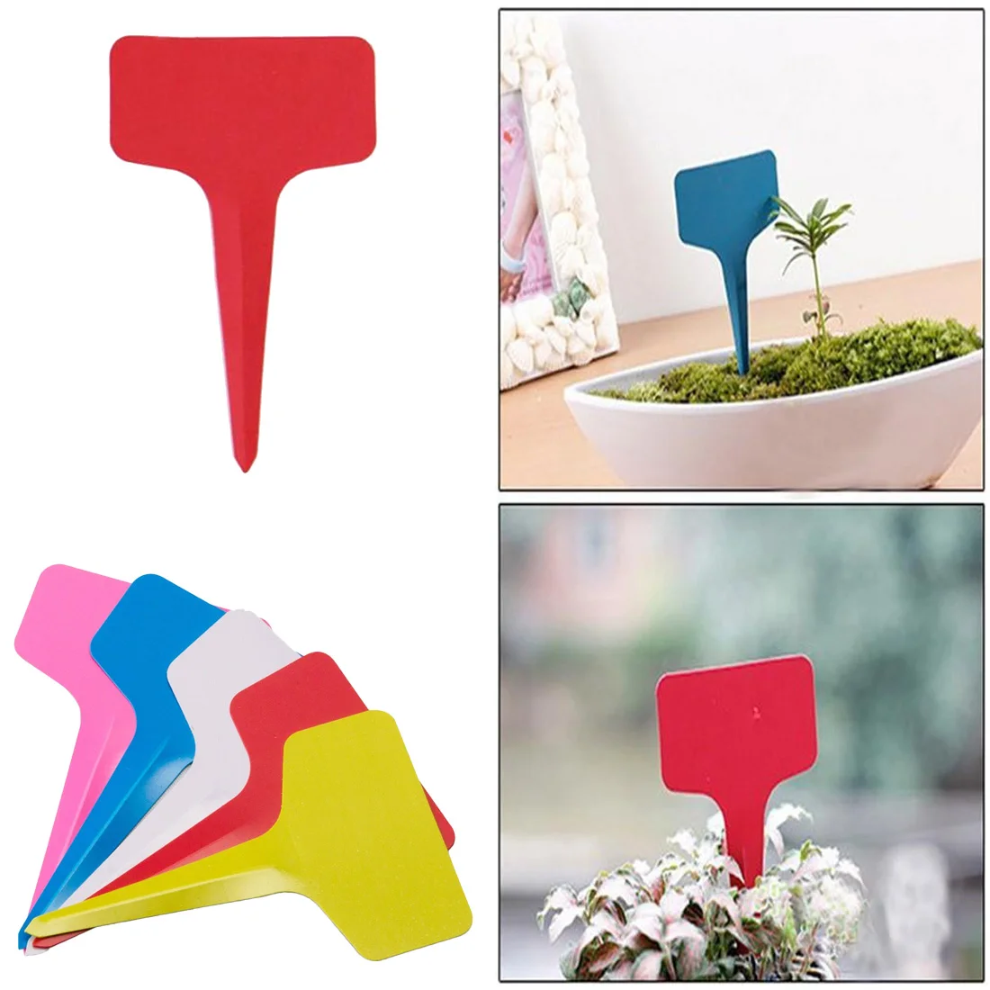 20Pcs Plant Tags T-type Garden Nursery Label PP Plastic Plant Tags Markers Nursery Pots Seedling Labels Tray Mark Tools
20Pcs Plant Tags T-type Garden Nursery Label PP Plastic Plant Tags Markers Nursery Pots Seedling Labels Tray Mark Tools
