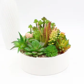 INS-Style Artificial Succulent Pant Fake More Meat Artificial Flower Green Vegetation
INS-Style Artificial Succulent Pant Fake More Meat Artificial Flower Green Vegetation
