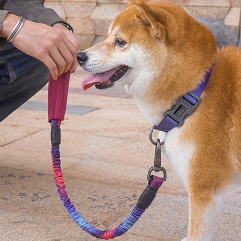 Pet Durable Leash For Dogs, 2 Handles For Extra Control, Dog Training Walking Leashes M/L
Pet Durable Leash For Dogs, 2 Handles For Extra Control, Dog Training Walking Leashes M/L