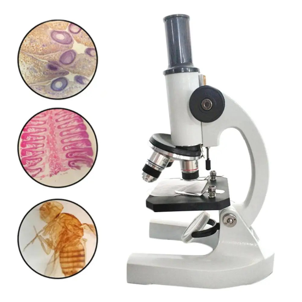 Microscope Magnification Biological 500X School Students Educational Monocular Magnification Professional Laboratory Microscope
Microscope Magnification Biological 500X School Students Educational Monocular Magnification Professional Laboratory Microscope