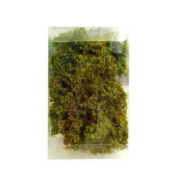 Railway Landscape Scenery DIY Making Terrain Sand Table Wargaming Camouflage Net Simulation Tree Vegetation Realistic Miniature
Railway Landscape Scenery DIY Making Terrain Sand Table Wargaming Camouflage Net Simulation Tree Vegetation Realistic Miniature