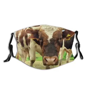 protective mask with filter Cow anti dust PM2.5 reuse adult teen child girl
protective mask with filter Cow anti dust PM2.5 reuse adult teen child girl