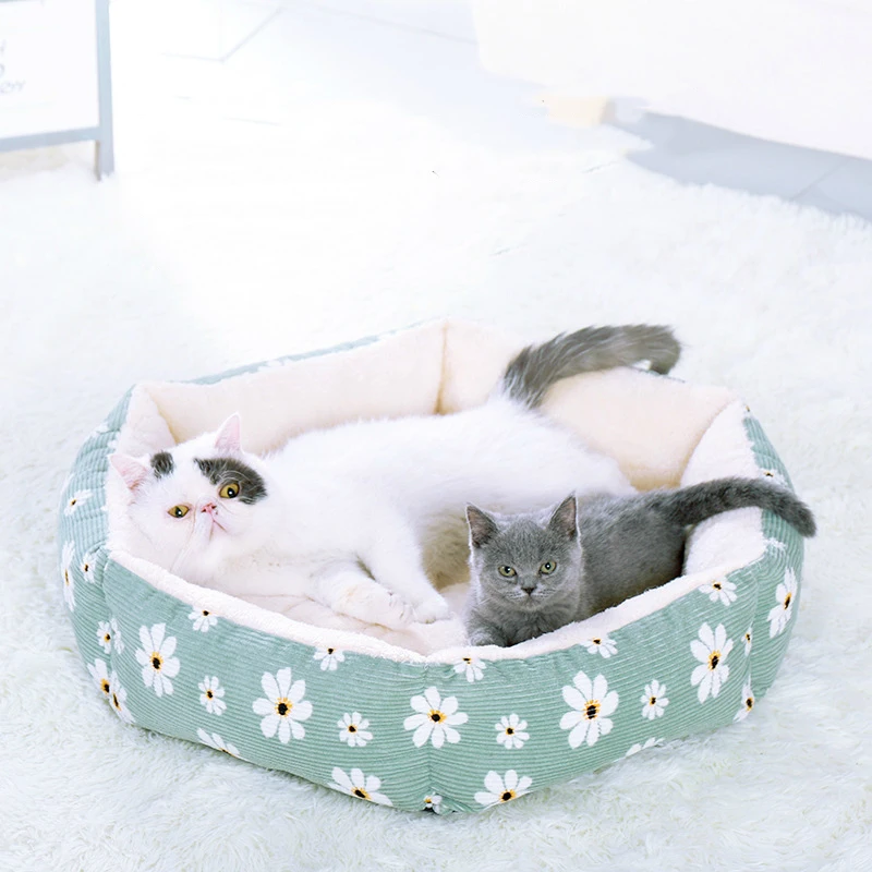 Cat Beds for Small Medium Dogs Ted Satsuma Chihuahua Bed Soft Mat PP Cotton Filling Pet Products Cat Mat Dog Cushion
Cat Beds for Small Medium Dogs Ted Satsuma Chihuahua Bed Soft Mat PP Cotton Filling Pet Products Cat Mat Dog Cushion