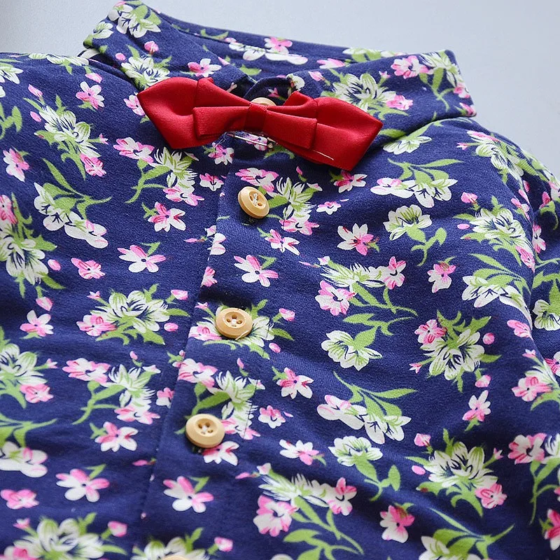 SZ0793DL (1)