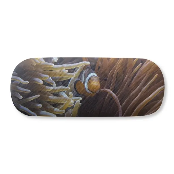 Ocean Anemone Fish Coral Science Nature Glasses Case Eyeglasses Clam Shell Holder Storage Box
Ocean Anemone Fish Coral Science Nature Glasses Case Eyeglasses Clam Shell Holder Storage Box