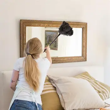 Ostrich Duster Feather Dusters with Long Plastic Handle Cleaning Brush Tool Cleaning Duster Household Cleaning Tool
Ostrich Duster Feather Dusters with Long Plastic Handle Cleaning Brush Tool Cleaning Duster Household Cleaning Tool