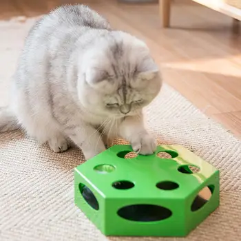 Interactive Cat Toy Automatic Rotating Teaser Kitten Pet Instincts Playing Box 2020
Interactive Cat Toy Automatic Rotating Teaser Kitten Pet Instincts Playing Box 2020