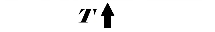 T 20