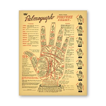 Palm Reading Prints Antique Palmistry Fortune Telling Chart Poster Vintage Wall Art Picture Occult Decor Kraft paper poster 
Palm Reading Prints Antique Palmistry Fortune Telling Chart Poster Vintage Wall Art Picture Occult Decor Kraft paper poster