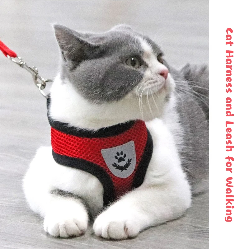 Шлейка-поводок для домашних животных Регулируемый жилет щенков и кошек сетчатая