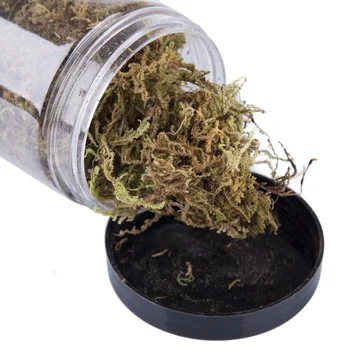 400ml Sand Table Grass Model Terrain Landscaping Vegetation for Soldier Sand Table Decor Model Building Kits Withered Yellow
400ml Sand Table Grass Model Terrain Landscaping Vegetation for Soldier Sand Table Decor Model Building Kits Withered Yellow