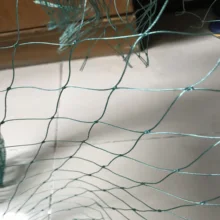 Green Heavy Bird -Preventing Net Fencing Mesh Fruit Crop Vegetable Garden Tuin Climbing Plant Trellis Durable Netting
Green Heavy Bird -Preventing Net Fencing Mesh Fruit Crop Vegetable Garden Tuin Climbing Plant Trellis Durable Netting