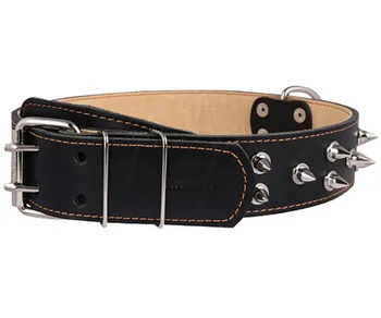 COLLAR Leather Collar for Dogs with a double spiked black 45 mm 56 - 68 cm Collar
COLLAR Leather Collar for Dogs with a double spiked black 45 mm 56 - 68 cm Collar
