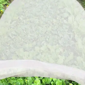 Reusable Plant Cover Net Insect Bird Pest Control Vegetable Fruit Protection Garden Anti-bird Mesh Netting Greenhouse
Reusable Plant Cover Net Insect Bird Pest Control Vegetable Fruit Protection Garden Anti-bird Mesh Netting Greenhouse