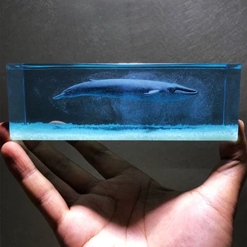 15 X 5 X 5cm Crystal Epoxy Ocean Decoration Mini Epoxy Extremely Cold Blue Whale Model DIY Home Crafts Filling Supplies
15 X 5 X 5cm Crystal Epoxy Ocean Decoration Mini Epoxy Extremely Cold Blue Whale Model DIY Home Crafts Filling Supplies