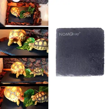 Turtle Reptile Rock Food Dish Plate Nail Polish Board Grinding The Nail Tortoise Feeding Bowl (10x10cm,30x15cm)
Turtle Reptile Rock Food Dish Plate Nail Polish Board Grinding The Nail Tortoise Feeding Bowl (10x10cm,30x15cm)