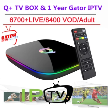 Q Plus Android 9.0 TV Box with one Year IPTV Subscription 4K Media Player Europe France Spain Dutch Belgium IPTV Set Top Box
Q Plus Android 9.0 TV Box with one Year IPTV Subscription 4K Media Player Europe France Spain Dutch Belgium IPTV Set Top Box