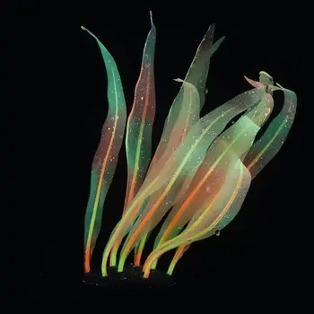 Uniclife 1PC Yellow Glowing Effect Kelp 7 Inch Decorative Seaweed Artificial Silicone Ornament for Fish Tank Aquarium Accessory
Uniclife 1PC Yellow Glowing Effect Kelp 7 Inch Decorative Seaweed Artificial Silicone Ornament for Fish Tank Aquarium Accessory