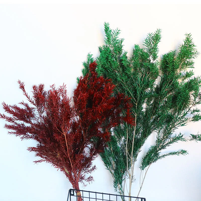 Natural Fresh Preserved Eternelle Flower Leaves for Wedding Party Decoration Home Living room Decoration Accessories Plantas
Natural Fresh Preserved Eternelle Flower Leaves for Wedding Party Decoration Home Living room Decoration Accessories Plantas