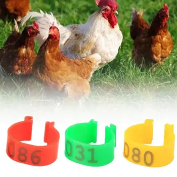 100pcs Breeding Poultry Special Open Buckle Chicken Laser Laser Goose Engraving Engraving And Foot Chicken Duck Ring Foot R L7J8
100pcs Breeding Poultry Special Open Buckle Chicken Laser Laser Goose Engraving Engraving And Foot Chicken Duck Ring Foot R L7J8