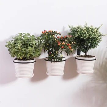 3pcs Black Small Wrought Iron Flower Pot Bracket Wall-Mounted Folding Balcony Flower Pot Tray Bracket
3pcs Black Small Wrought Iron Flower Pot Bracket Wall-Mounted Folding Balcony Flower Pot Tray Bracket
