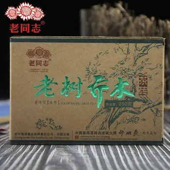 Haiwan 2011 Sheng Pu-erh Lao Shu Qiao Mu Raw Pu-erh Brick 250g
Haiwan 2011 Sheng Pu-erh Lao Shu Qiao Mu Raw Pu-erh Brick 250g