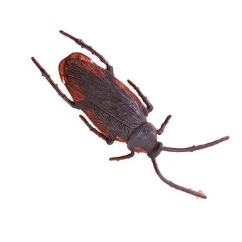 20 Pcs Plastic Cockroachs Stuffing Horrific Decor & 100 Pcs Plastic Fake Spider Practical Jokes Props Realistic Spider 
20 Pcs Plastic Cockroachs Stuffing Horrific Decor & 100 Pcs Plastic Fake Spider Practical Jokes Props Realistic Spider