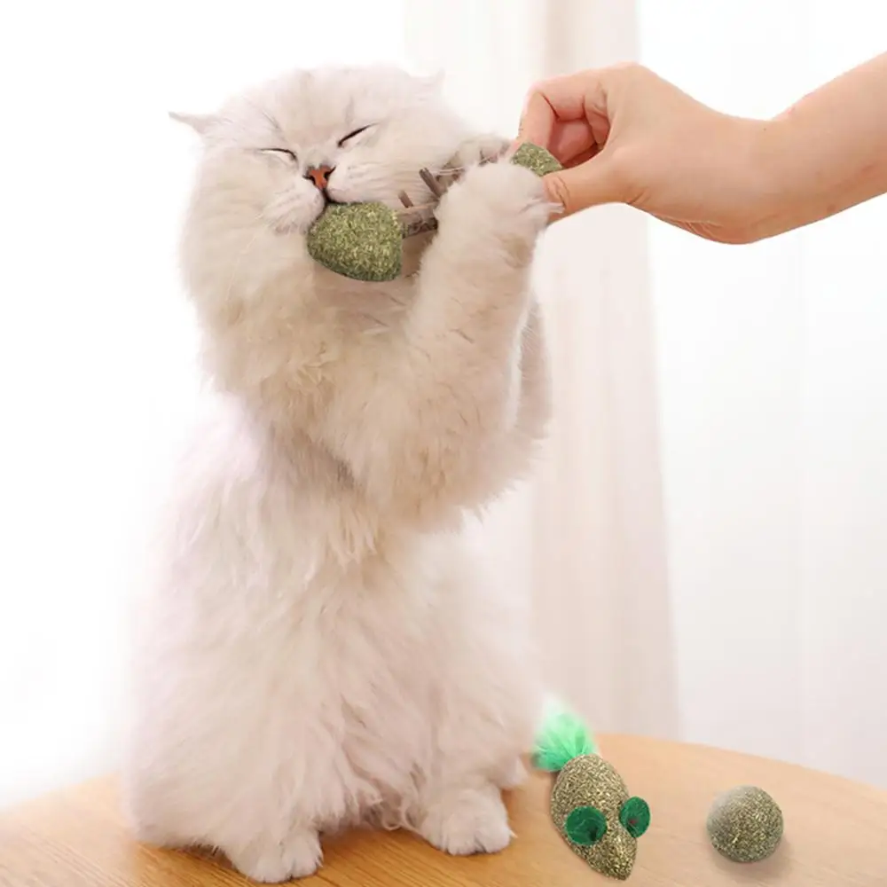 Mouse/Fish/Ball Shape Pure Natural Catnip Safe Edible Cat Mint Chase Toy, Emotionally Soothing Cat Hair Cleaning Pet Supplies
Mouse/Fish/Ball Shape Pure Natural Catnip Safe Edible Cat Mint Chase Toy, Emotionally Soothing Cat Hair Cleaning Pet Supplies