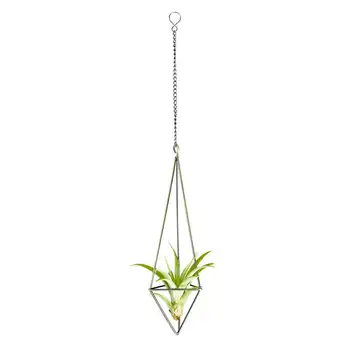 1 Pack Hanging Air Plant Holder For Tillandsia Display Geometric Planter With Chains Home Decor For Air Plants, Bronze 
1 Pack Hanging Air Plant Holder For Tillandsia Display Geometric Planter With Chains Home Decor For Air Plants, Bronze
