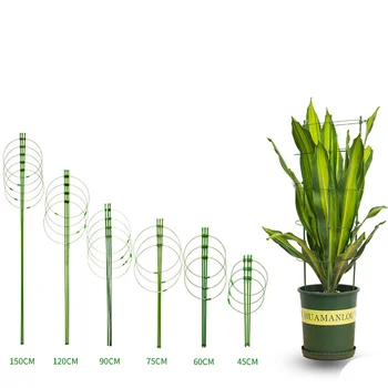 1set High quality Vine Climbing Rack 45cm Conical Vegetables Plant Trellis Plant Support Frame Flower Decorative Gardening Tools 
1set High quality Vine Climbing Rack 45cm Conical Vegetables Plant Trellis Plant Support Frame Flower Decorative Gardening Tools