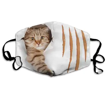 Mouth Mask For Daily Dress Up, Cat Anti-dust Mouth-Muffle, Washable Reusable Holiday Half Face Masks For Mens And Womens With
Mouth Mask For Daily Dress Up, Cat Anti-dust Mouth-Muffle, Washable Reusable Holiday Half Face Masks For Mens And Womens With