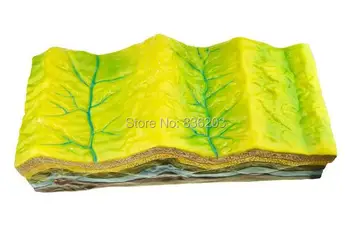 School globe Geology Class Teaching Aids Learning map folds Volcano Mountain Plate Tectonics Model globo terrestre Kit cards
School globe Geology Class Teaching Aids Learning map folds Volcano Mountain Plate Tectonics Model globo terrestre Kit cards